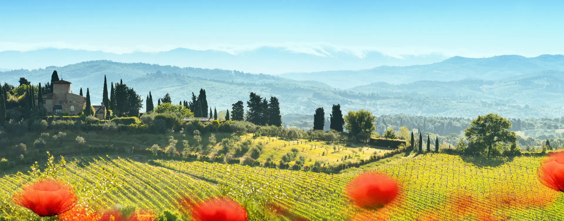 Excursión a Siena, San Gimignano y Pisa con Almuerzo - Visitas guiadas y Free tours en español Buendía Italia