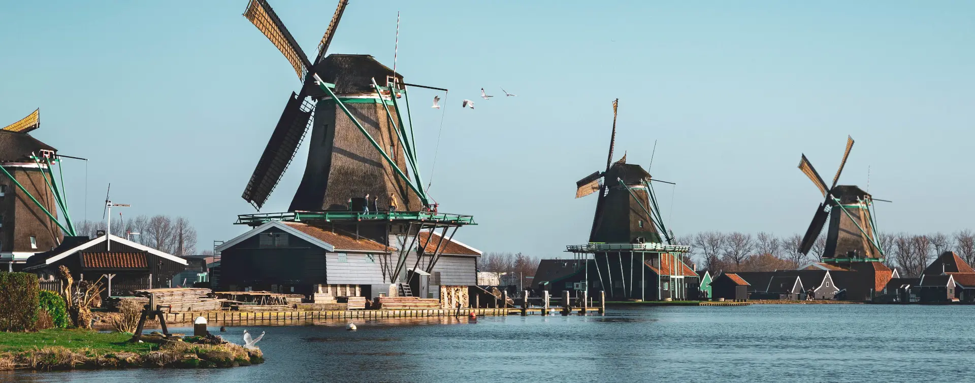 Parque de molinos de viento - Excursión Privada a los Molinos de Zaanse Schans y el Gran Dique - Visitas guiadas y Free tour en español Buendía Holanda