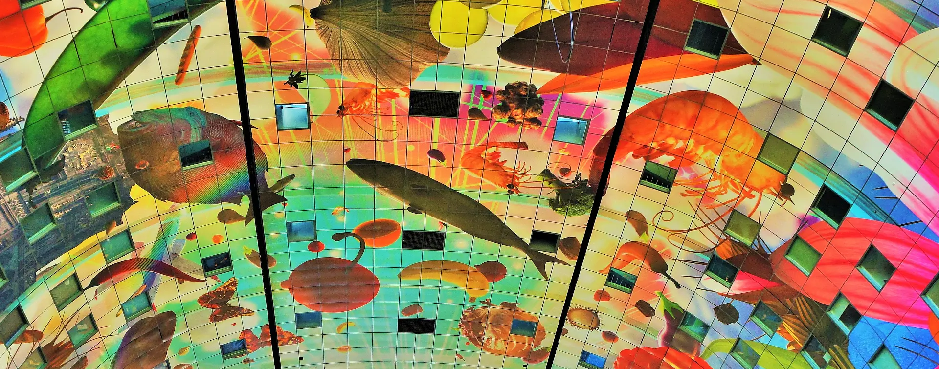 Mercado cubierto Markthal Rotterdam - Tour Privado Róterdam y la Haya - Tours y Visitas guiadas en español Buendía Tour Países Bajos