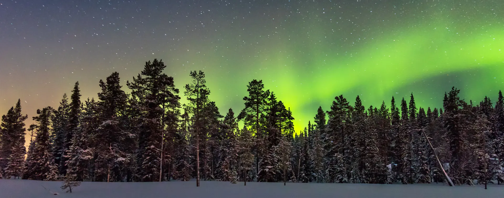 Caza de Auroras Boreales en grupo reducido 
