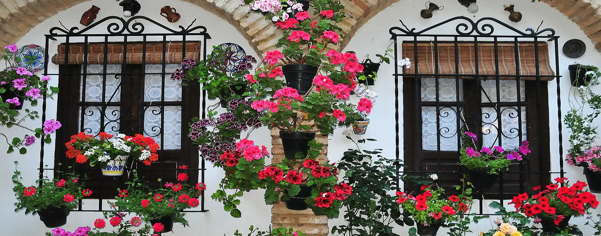 Patio típico de Córdoba - Visita a los Patios de Córdoba con entradas incluidas - Excursiones y Actividades en Córdoba - Buendía