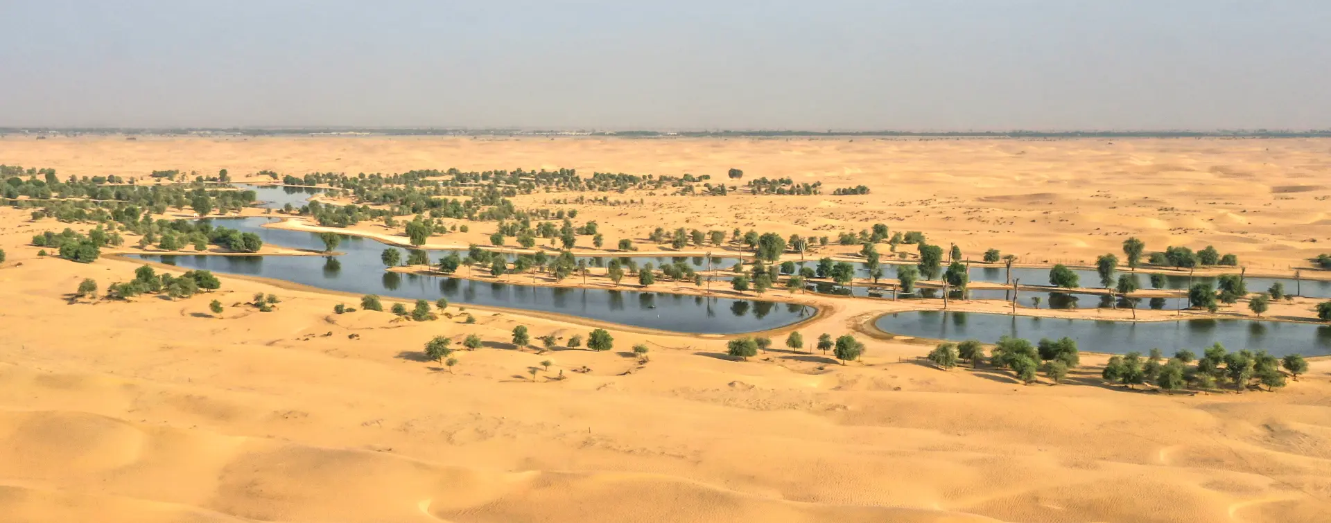 Safari Premium por las Dunas Rojas y el Oasis de Marmoon - Excursiones y Visitas guiadas en español Buendía Emiratos Árabes 