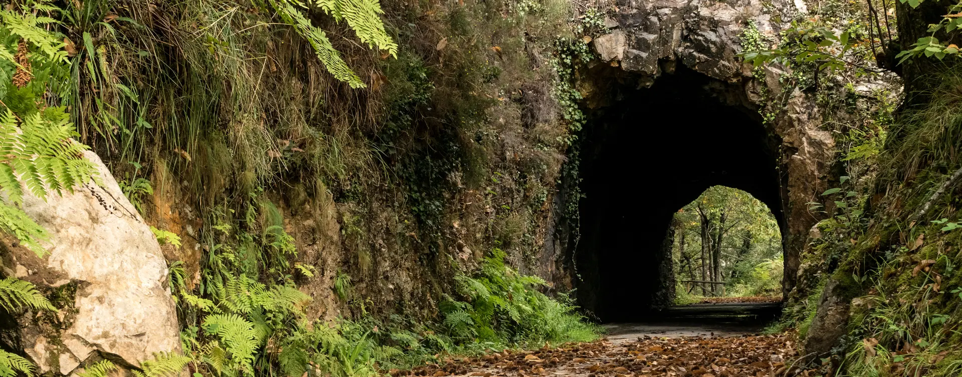Túnel de la Senda del Oso - Actividades y Experiencias Buendía, Asturias