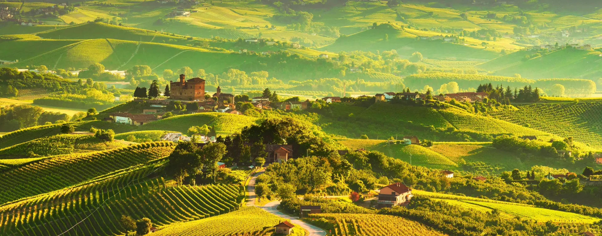 Excursión a Siena y cata de vinos en el Chianti desde Florencia - Visitas guiadas y Excursiones en español Buendía Italia