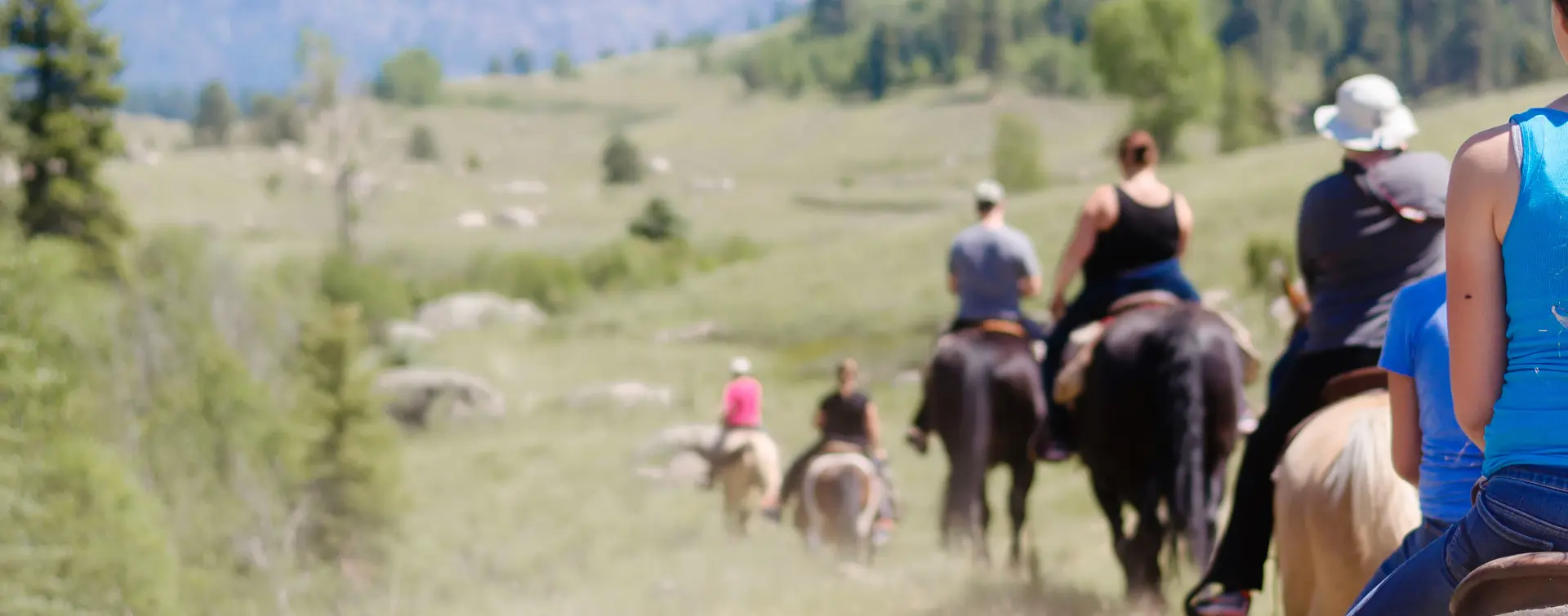 Ruta a Caballo en Arriondas - Experiencias, Actividades, Turismo activo, Ocio al aire libre - Asturias - Buendía 