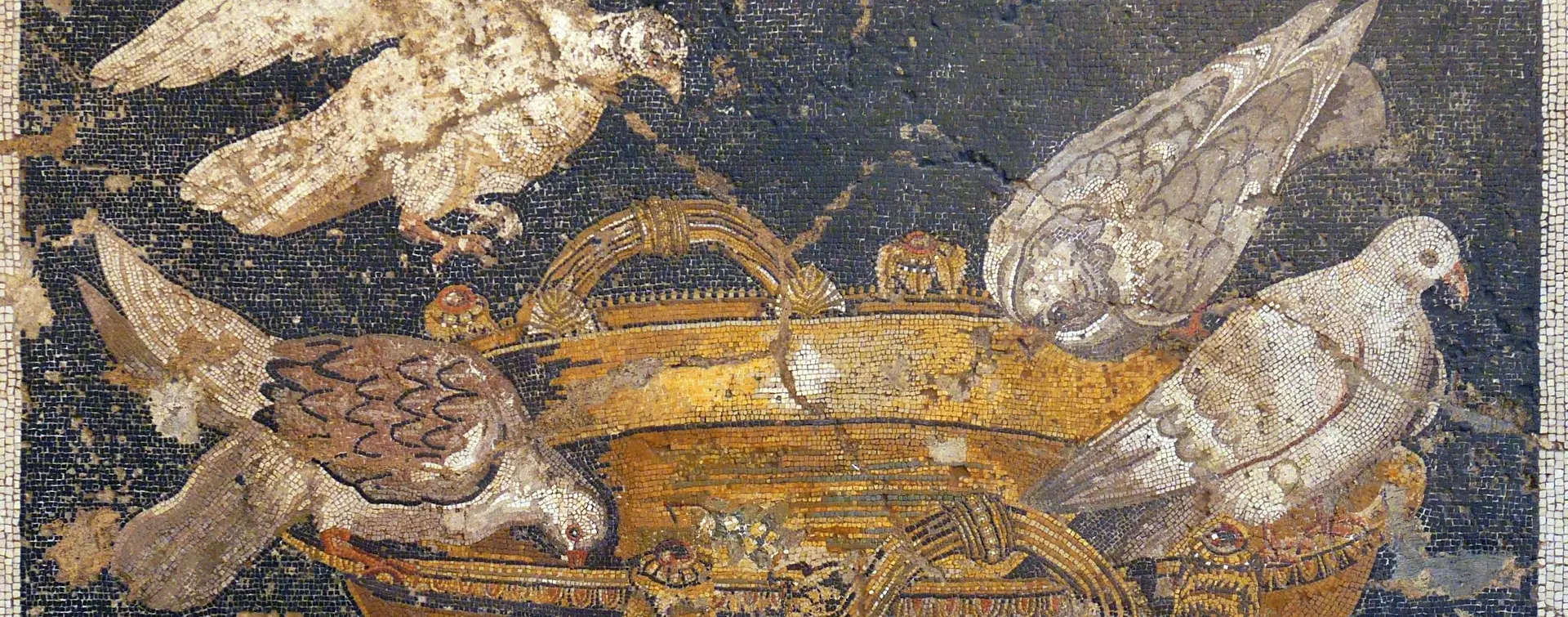 Excursión a Pompeya y sus ruinas VIP desde Roma  - Visitas guiadas y Excursiones en español Buendía Italia