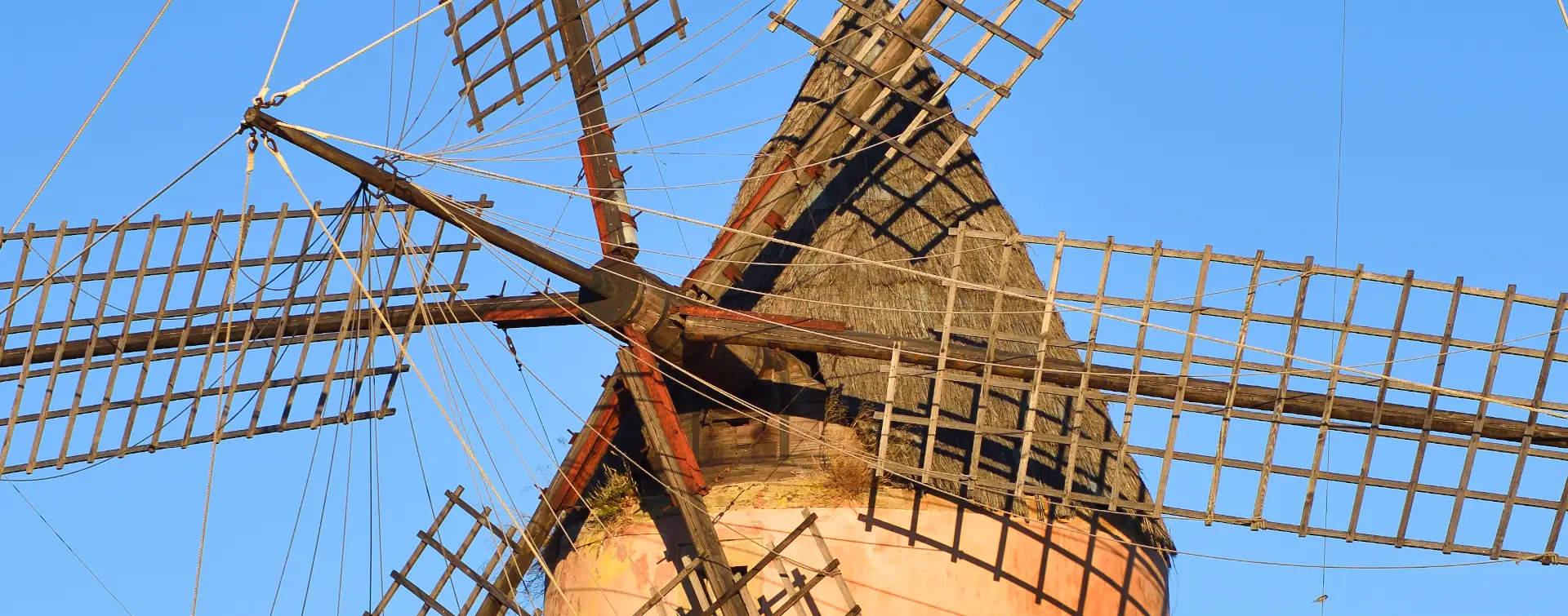 Visitas guiadas en Manacor