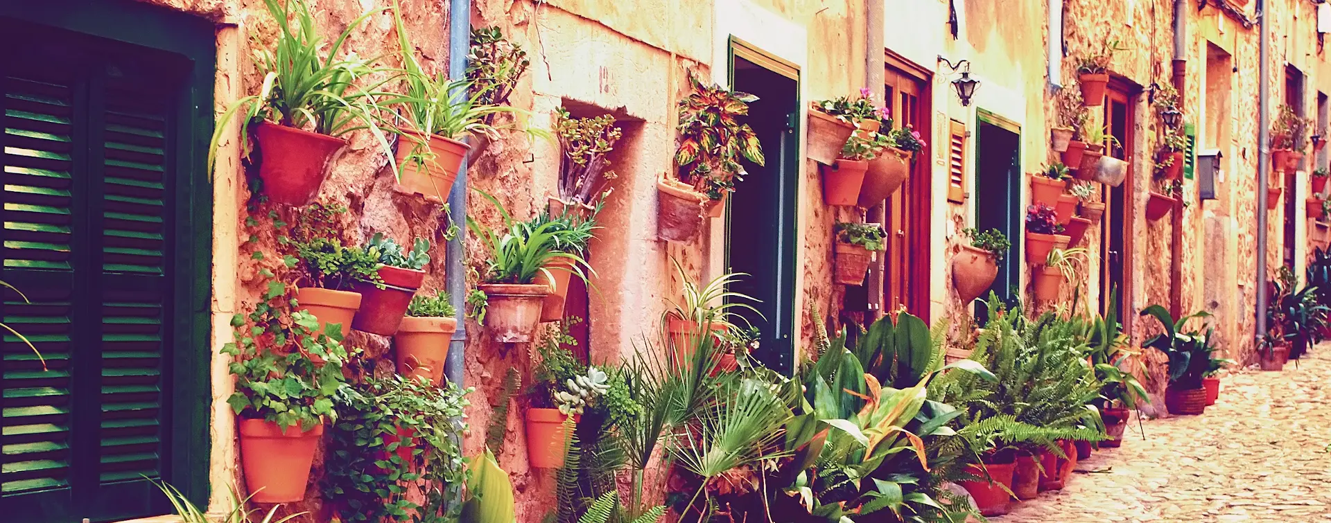 Visita guiada Valldemosa