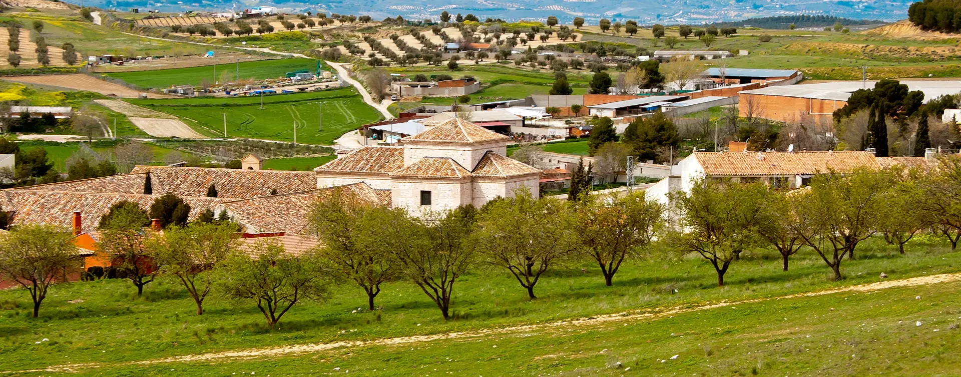 Visita a la Bodega del Nero