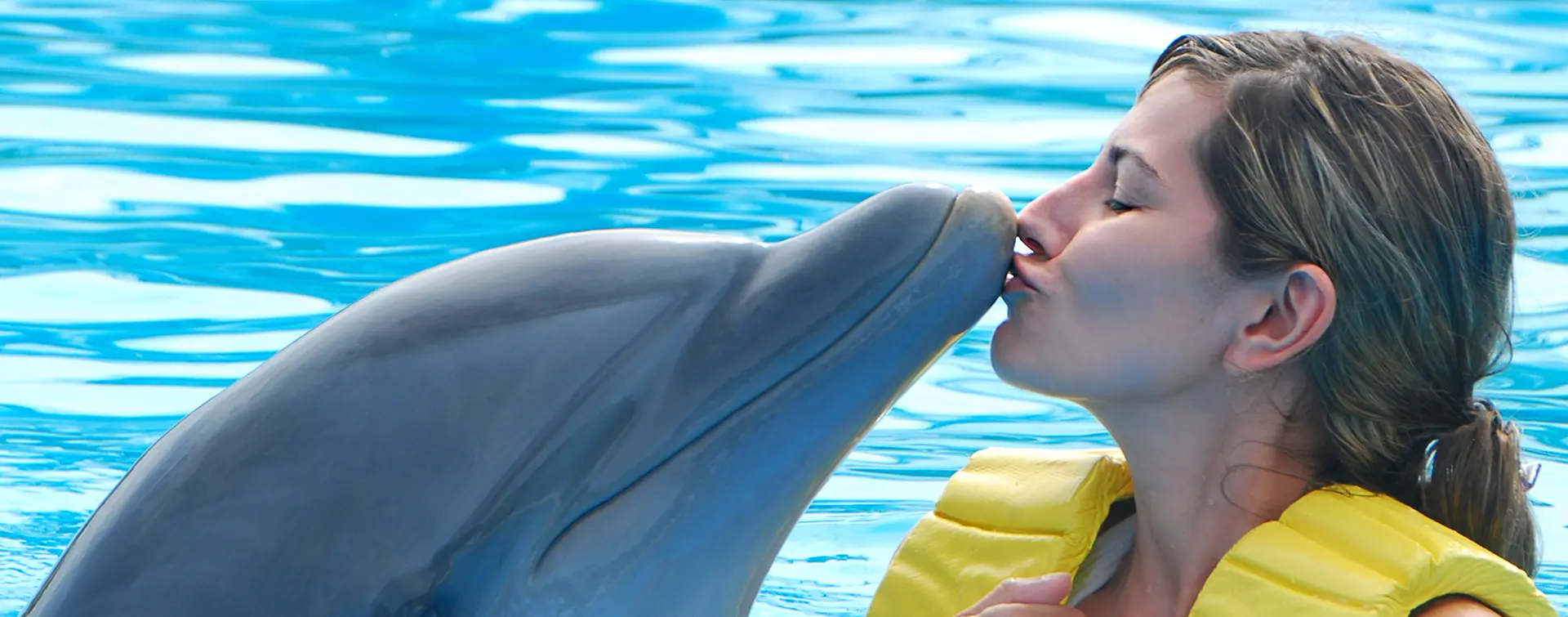 Visita a la Dolphin Island de Punta Cana