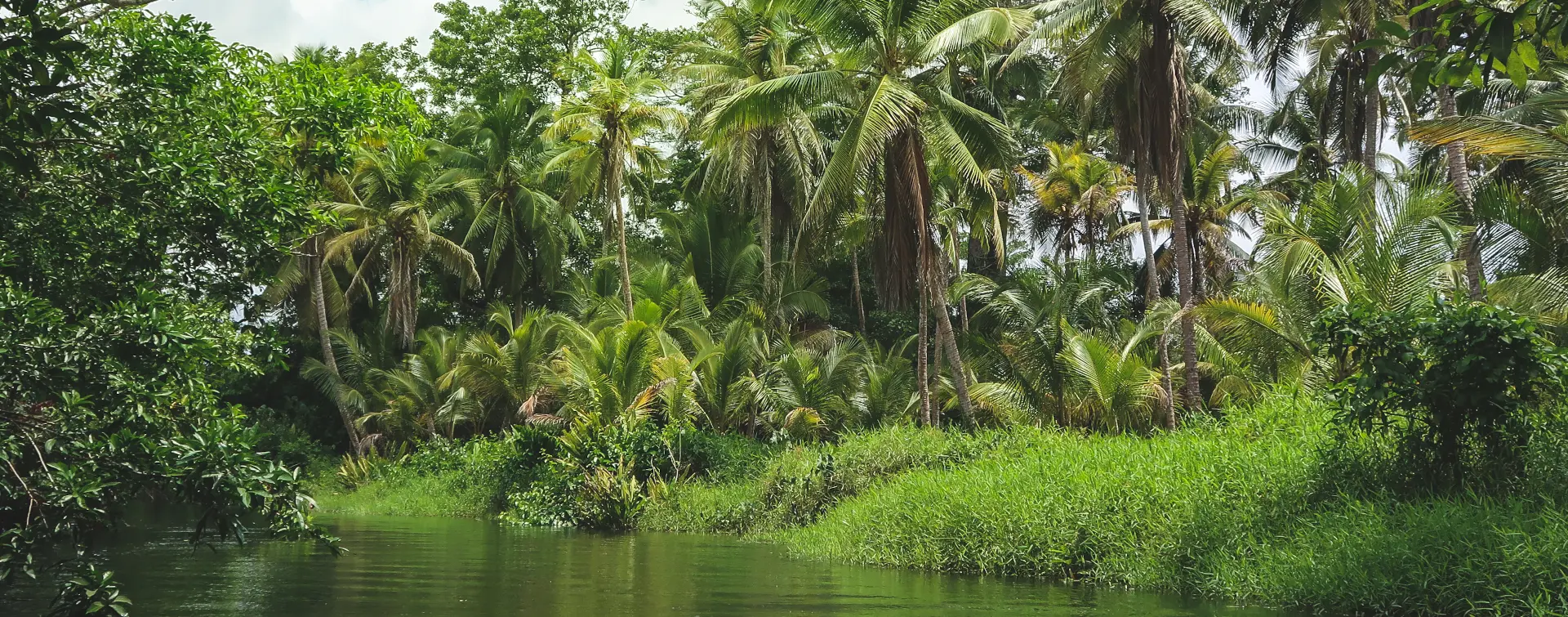 Safari en Punta Cana