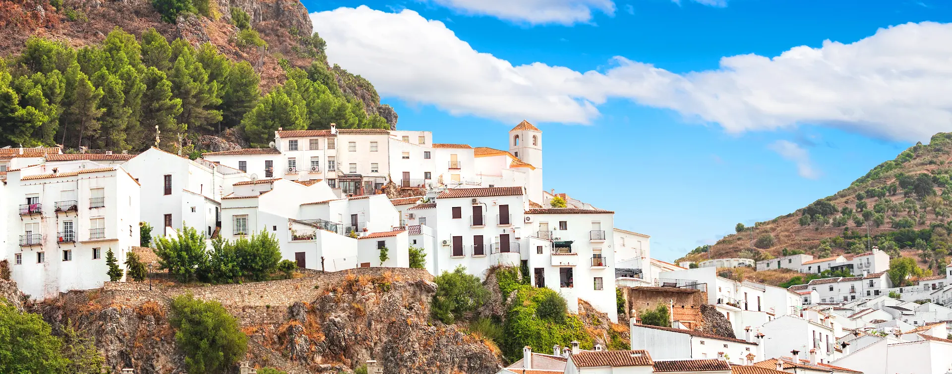 Excursión a los Pueblos Blancos desde Cádiz y Costa de la Luz