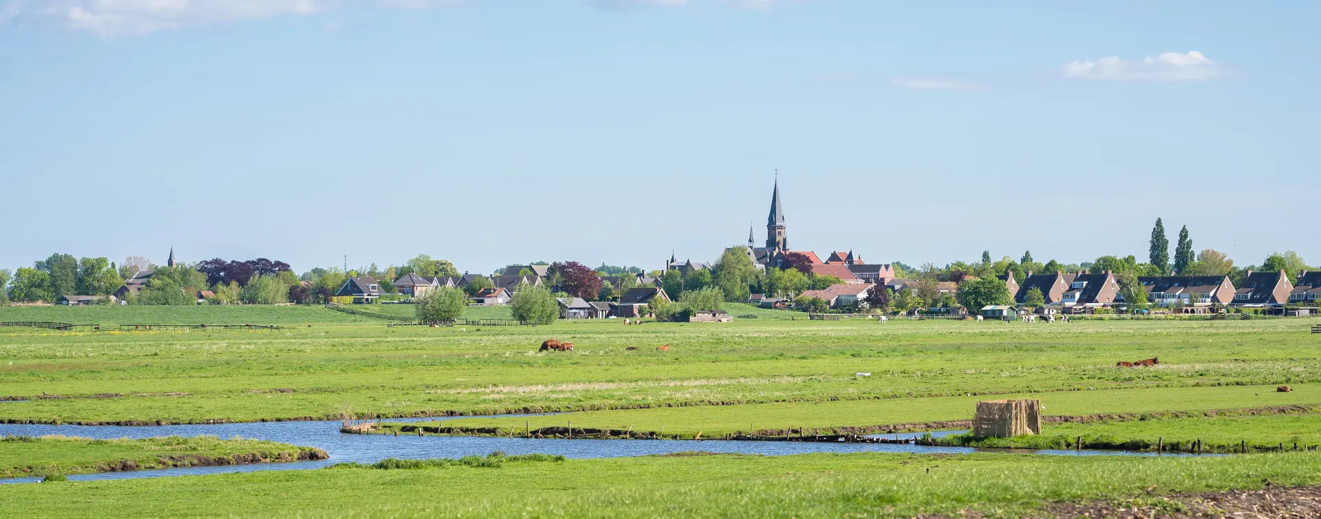 Tour en bici por la Campiña Holandesa y paseo en barca