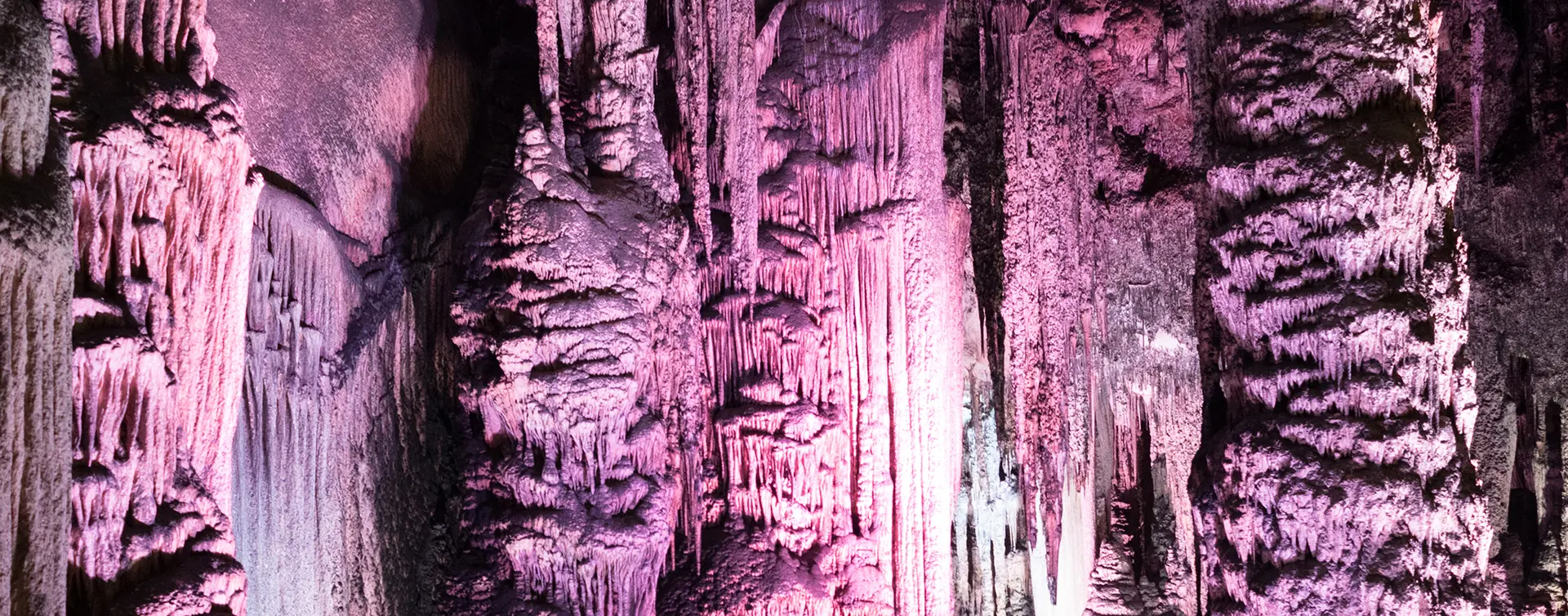 Excursión a las Cuevas del Drach