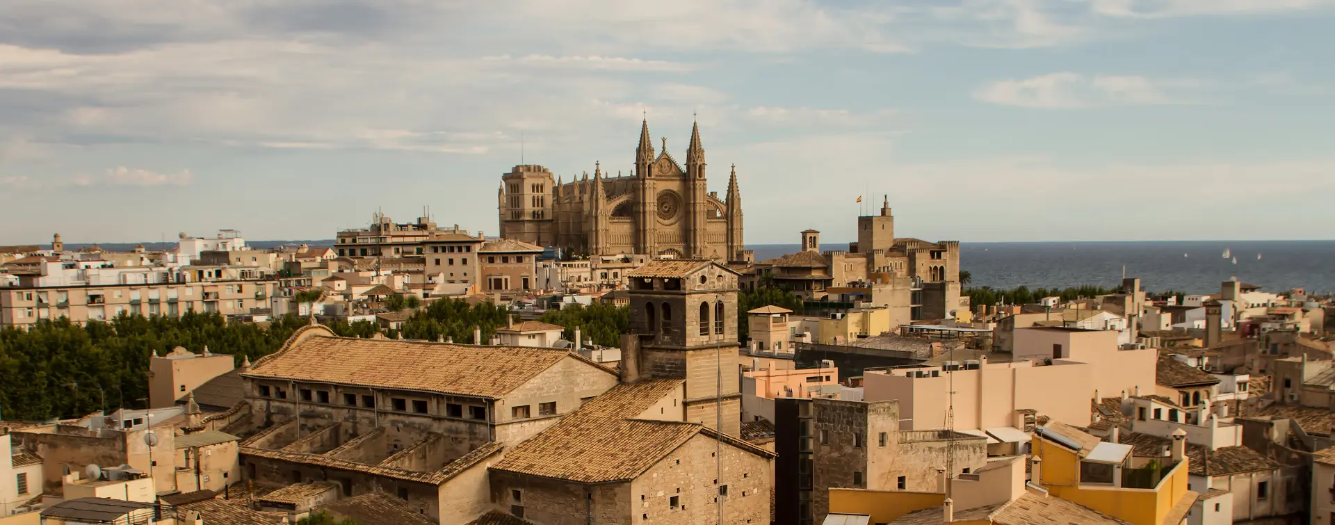 Tour Panorámico por Palma y Paseo en Barco