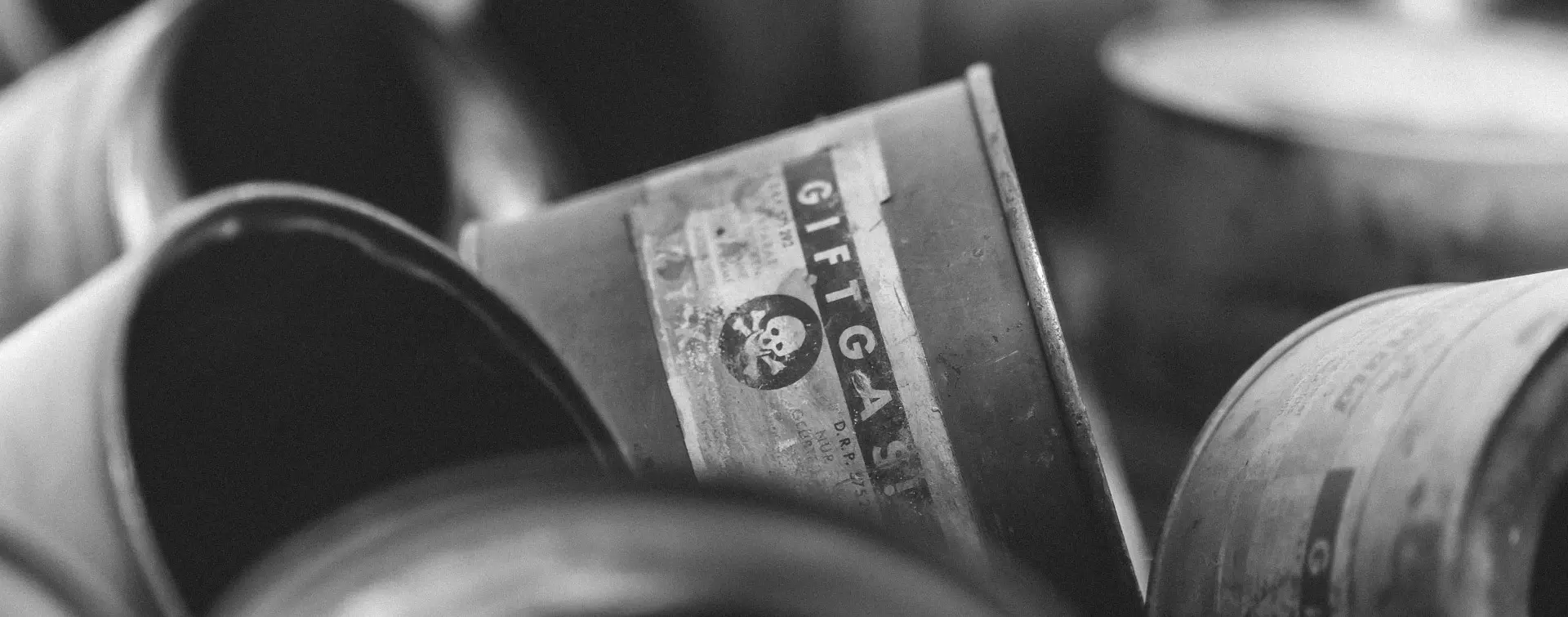 Excursión a Auschwitz Birkenau con transporte privado desde Cracovia