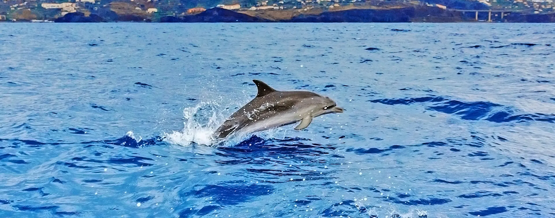 Paseo en la Carabela de Cristóbal Colón