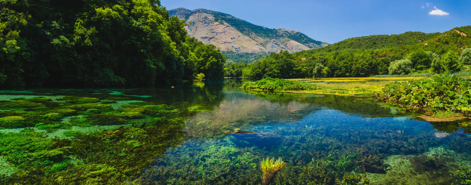 Excursión a la Laguna Ojo azul desde Saranda