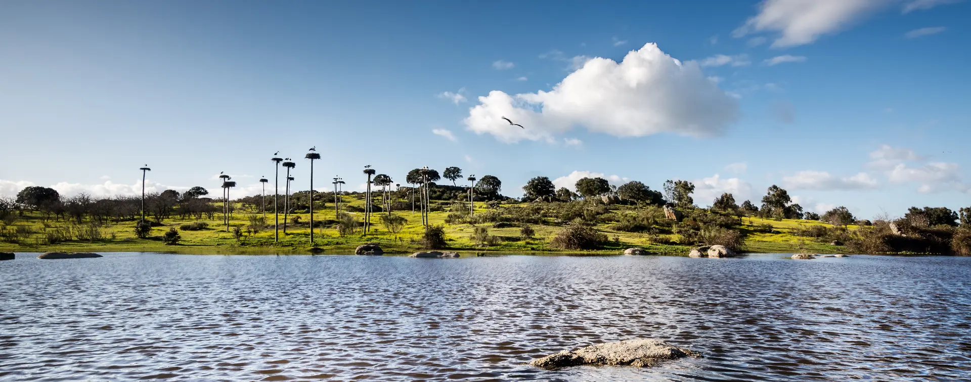 Excursión a los Barruecos desde Cáceres