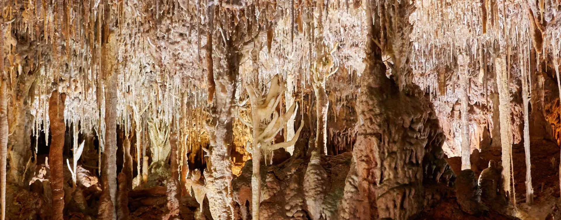 Excursión a las Cuevas Hams