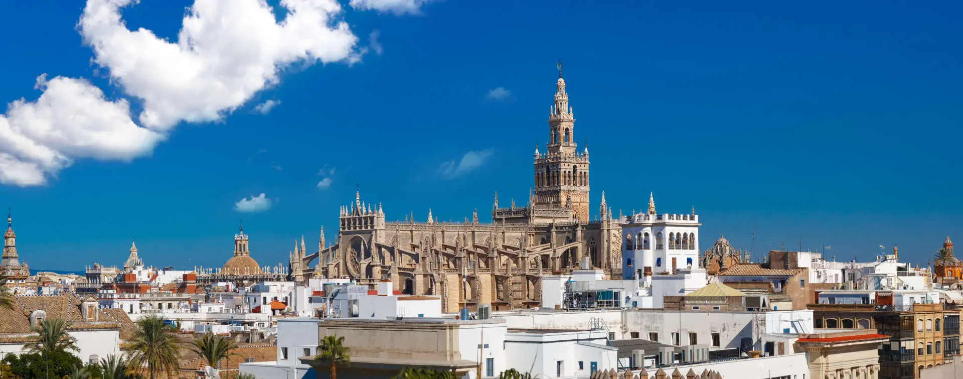 Visita Guiada a la Catedral y Giralda de Sevilla