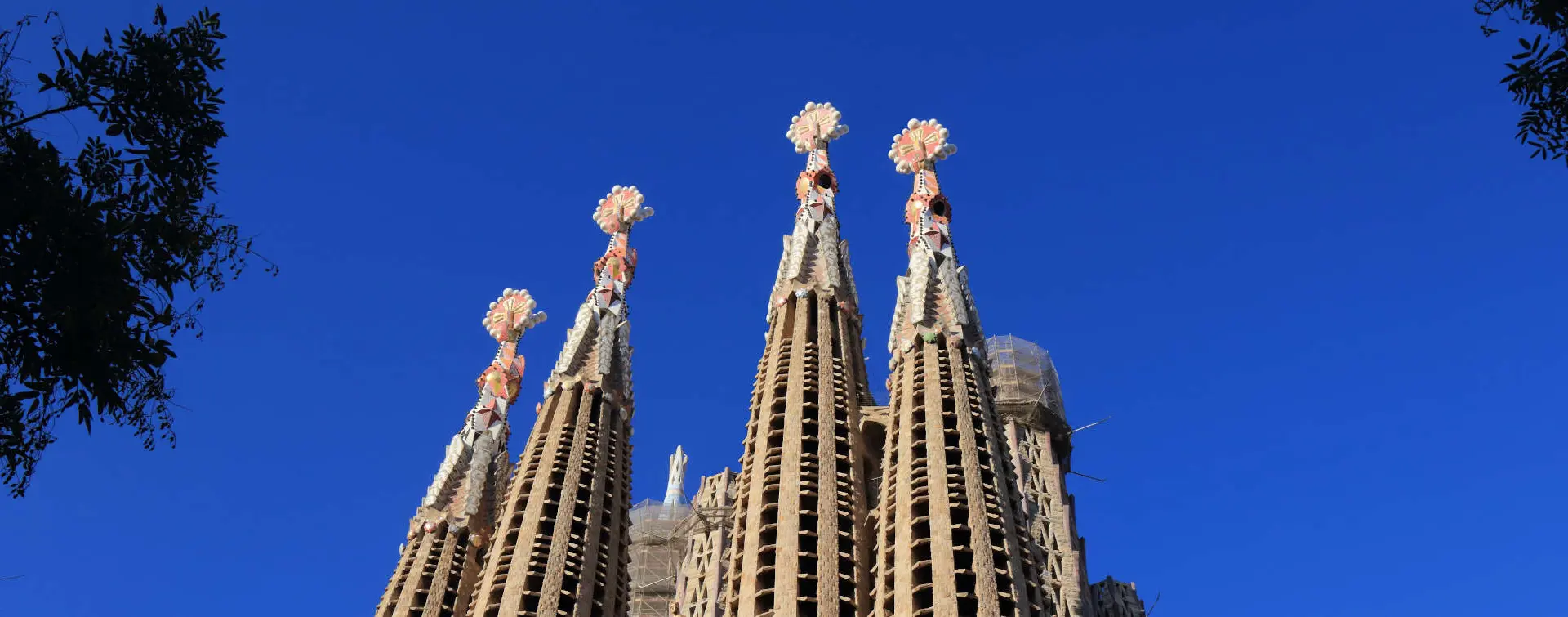 Visita Guiada a la Sagrada Familia con Torres