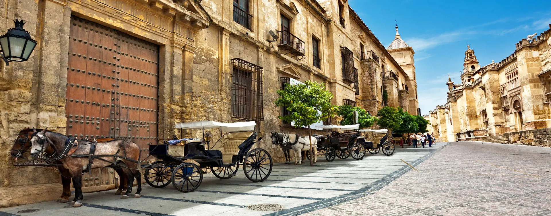 Tour Privado por Córdoba