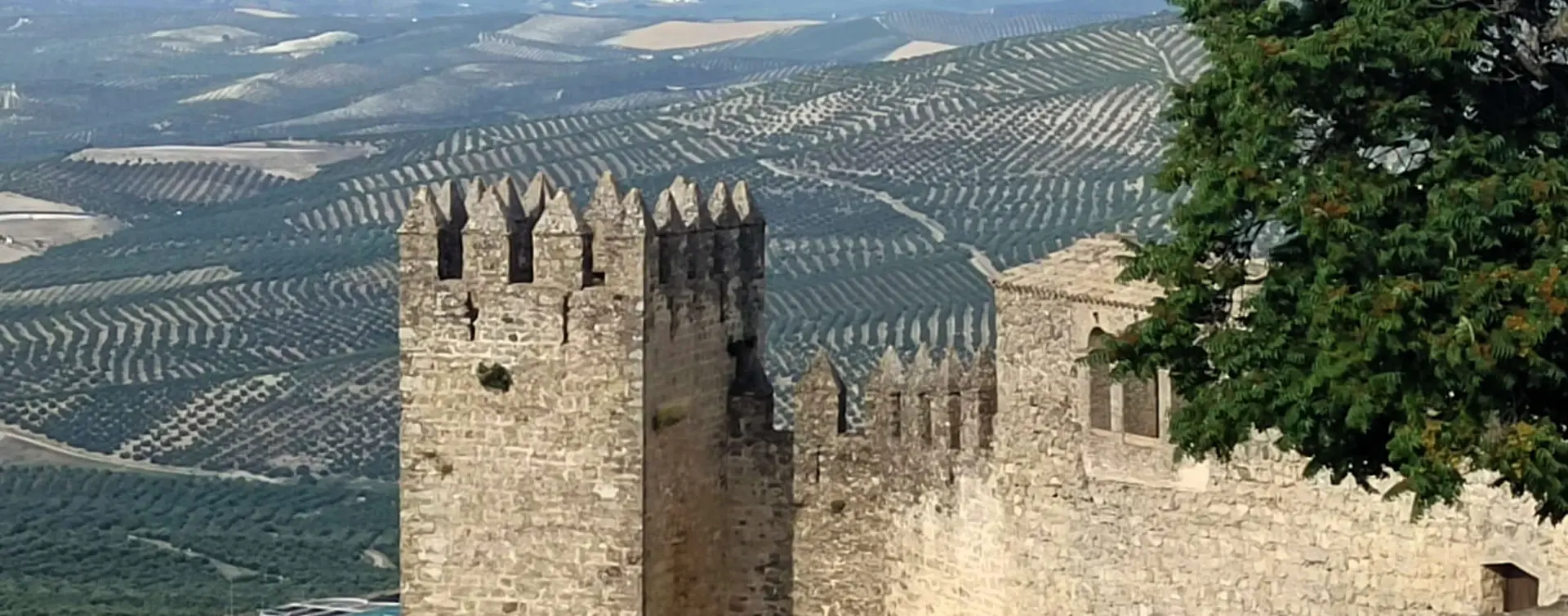 Visita Guiada del Castillo de Sabiote