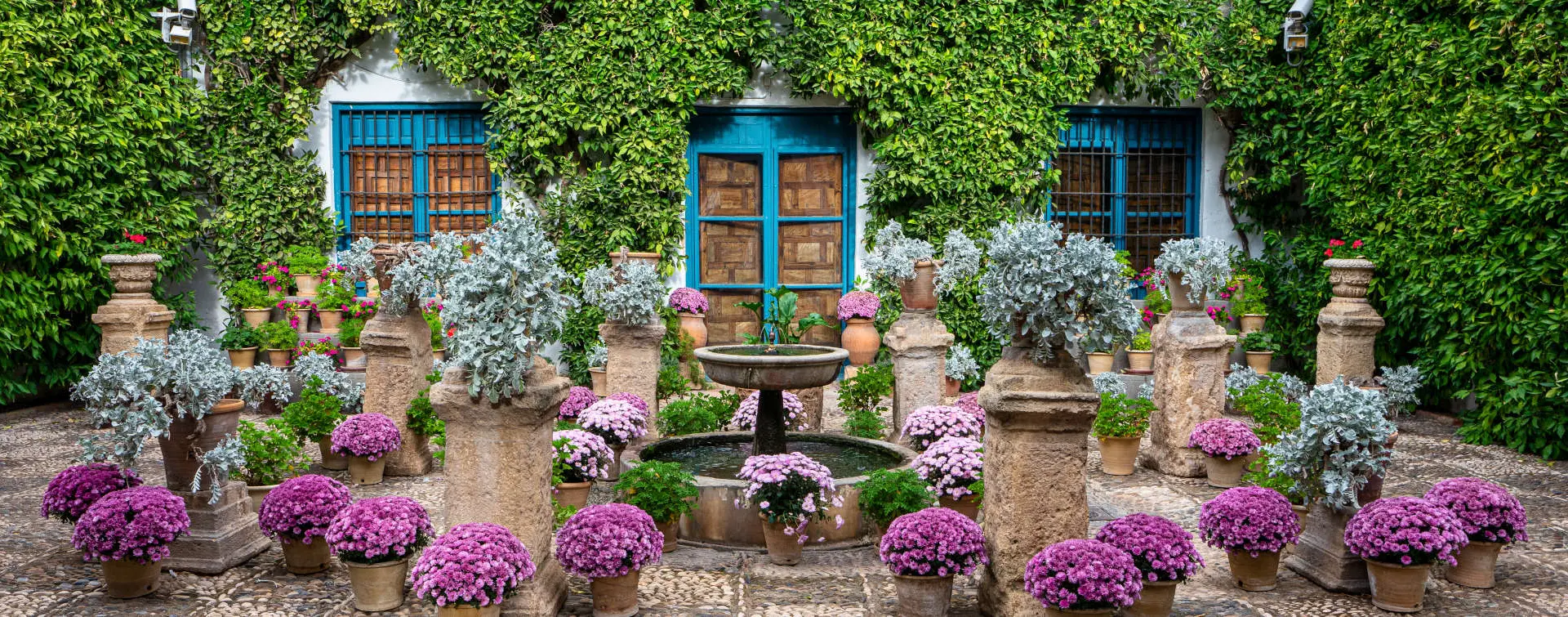 Visita guiada al Palacio de Viana y sus patios