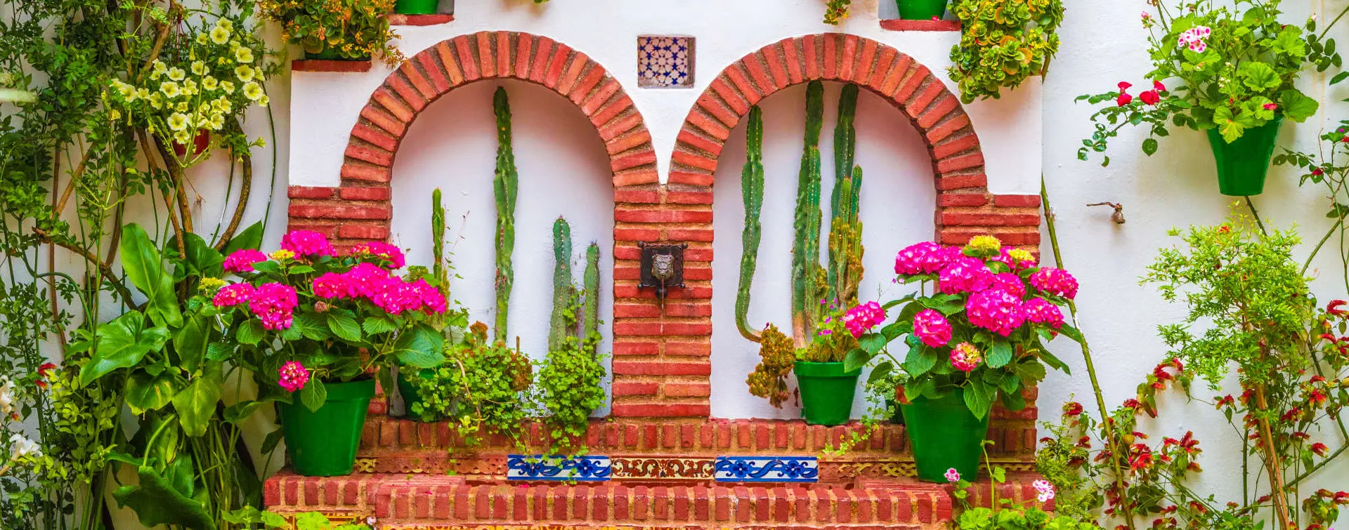 En esta visita guiada a los patios cordobeses nos acercaremos a la cultura de esta ciudad andaluza.