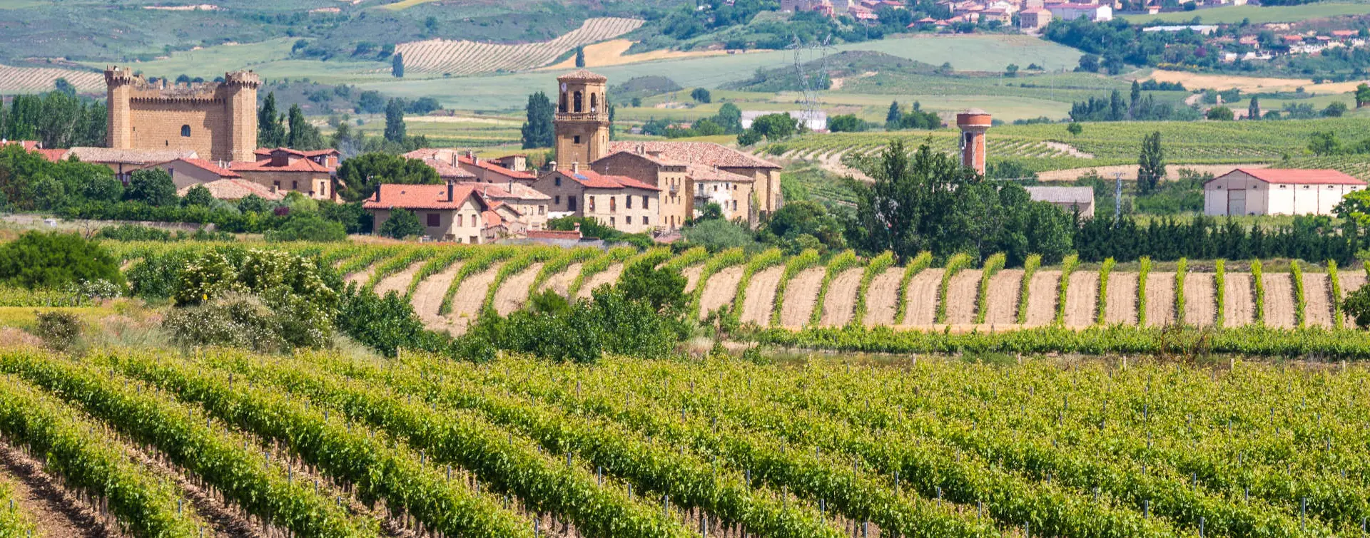 Excursión a la Rioja y sus bodegas desde Bilbao | Buendía