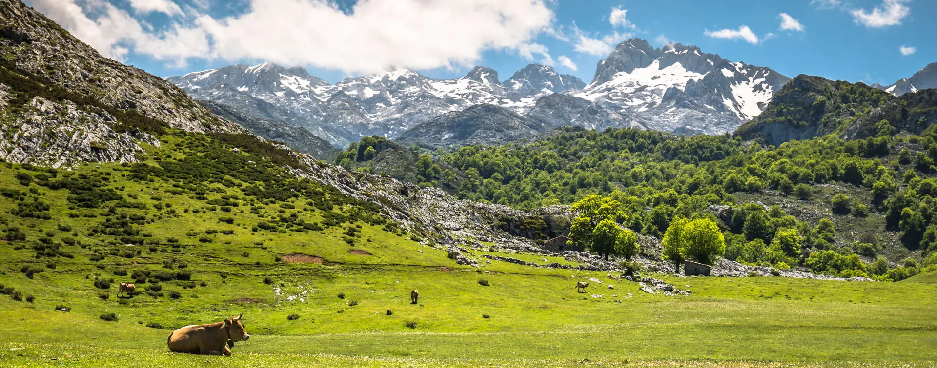 Free Tour en Liébana