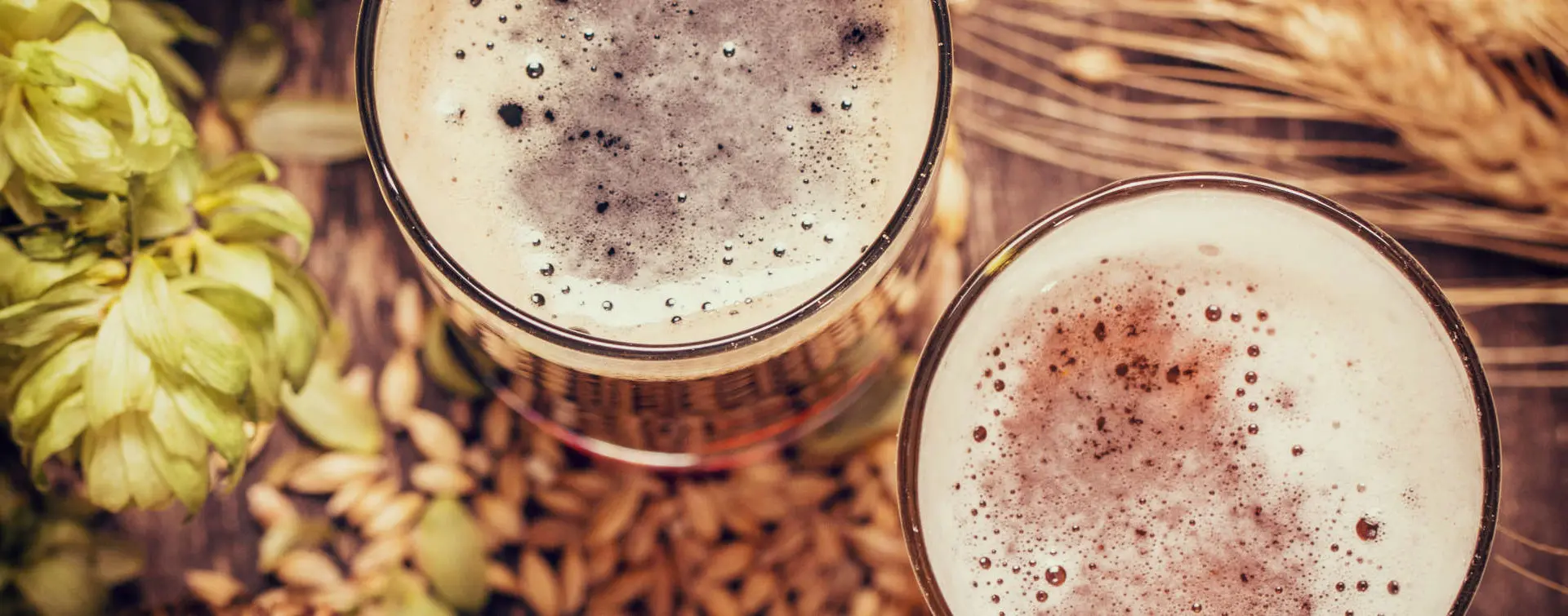 Visita la fábrica de cerveza Valles Lúpulo con cata