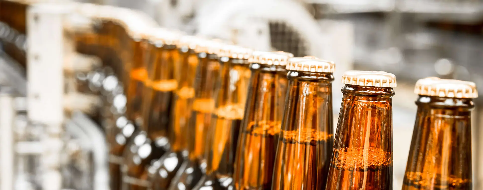 Cata y visita a una fábrica de cerveza en una antigua mina