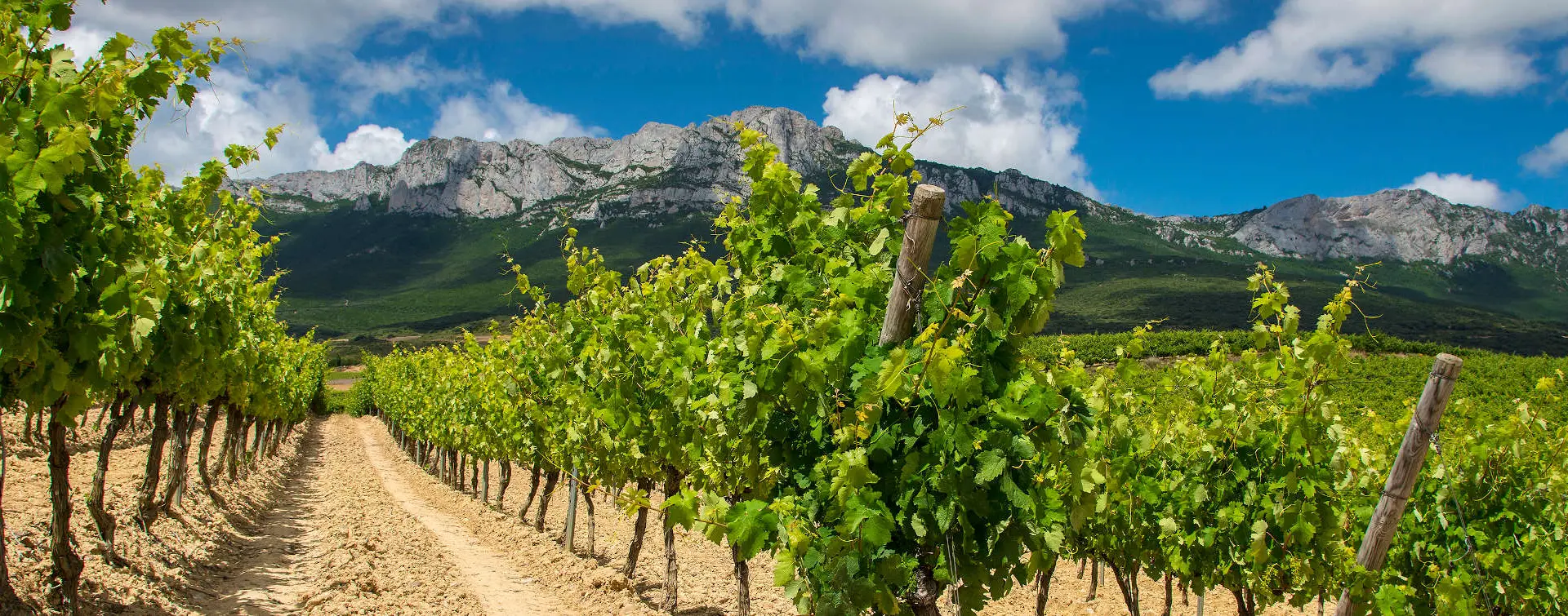 Visita Laguardia y Cueva Dorretxe con Degustación