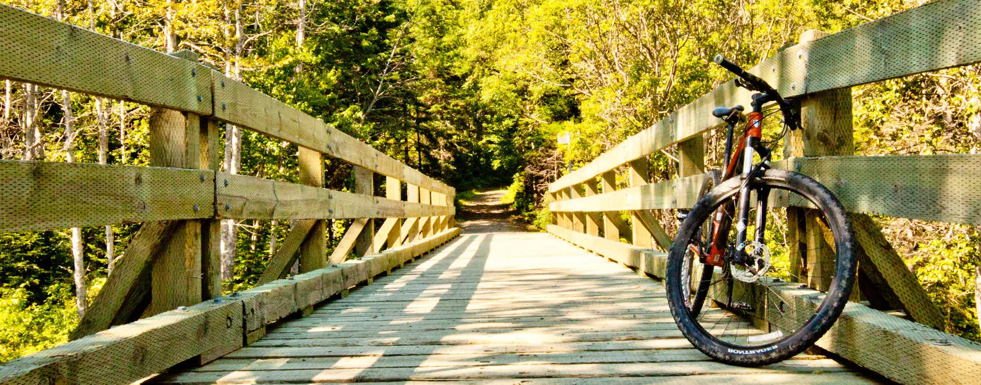 Alquiler de bici por la Senda del Oso