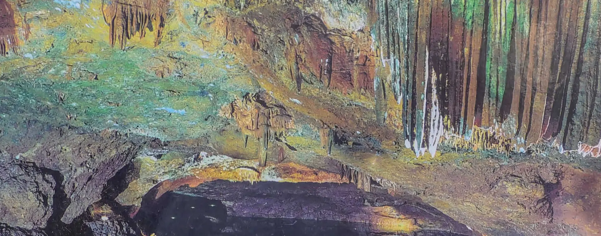 Excursión a las Cuevas de San José desde Valencia