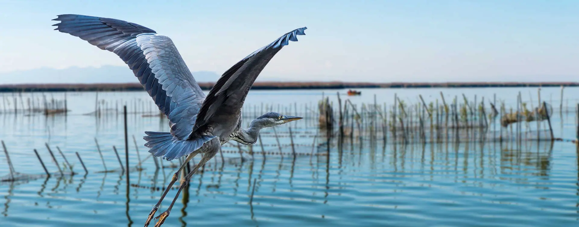 Excursión al Parque Natural de la Albufera desde Valencia