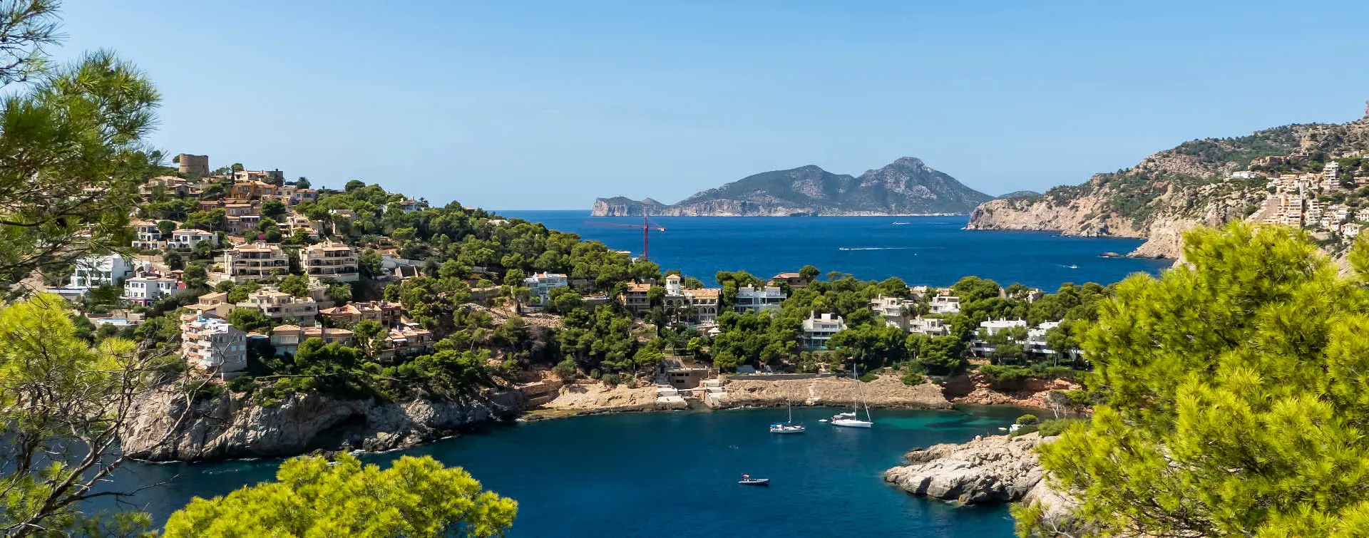 Paseo en catamarán por la costa hasta el puerto de Andratx