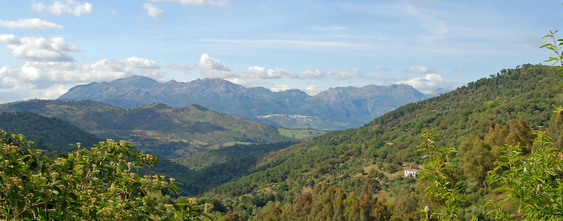 Excursión a Los Reales de Sierra Bermeja con senderismo