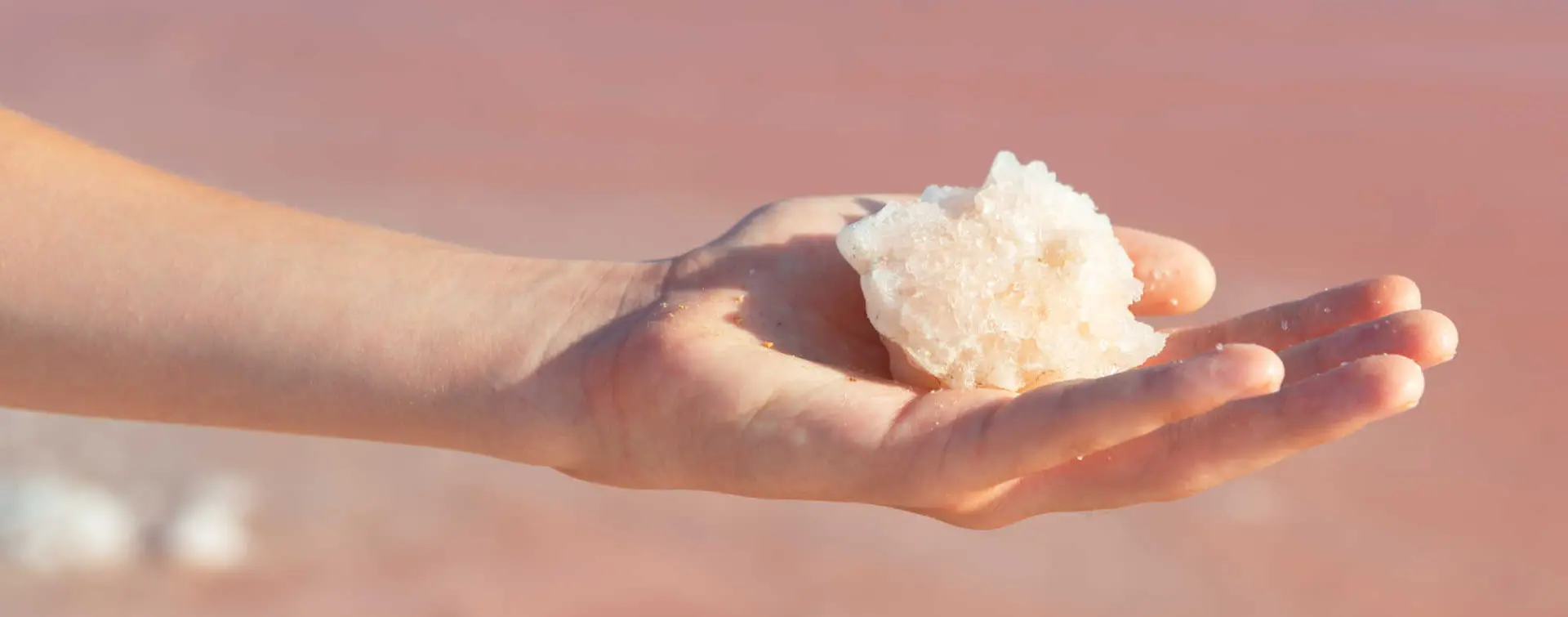 Tour por las Salinas de Torrevieja