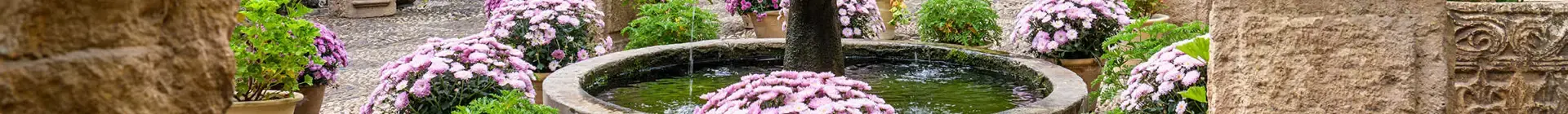 Fuente decorativa rodeada de varias plantas en los patios de Córdoba