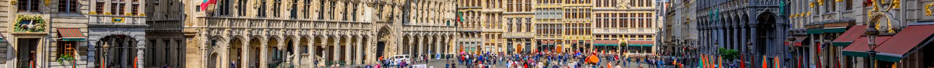 Actividades idóneas para visitar la Grand Place de Bruselas