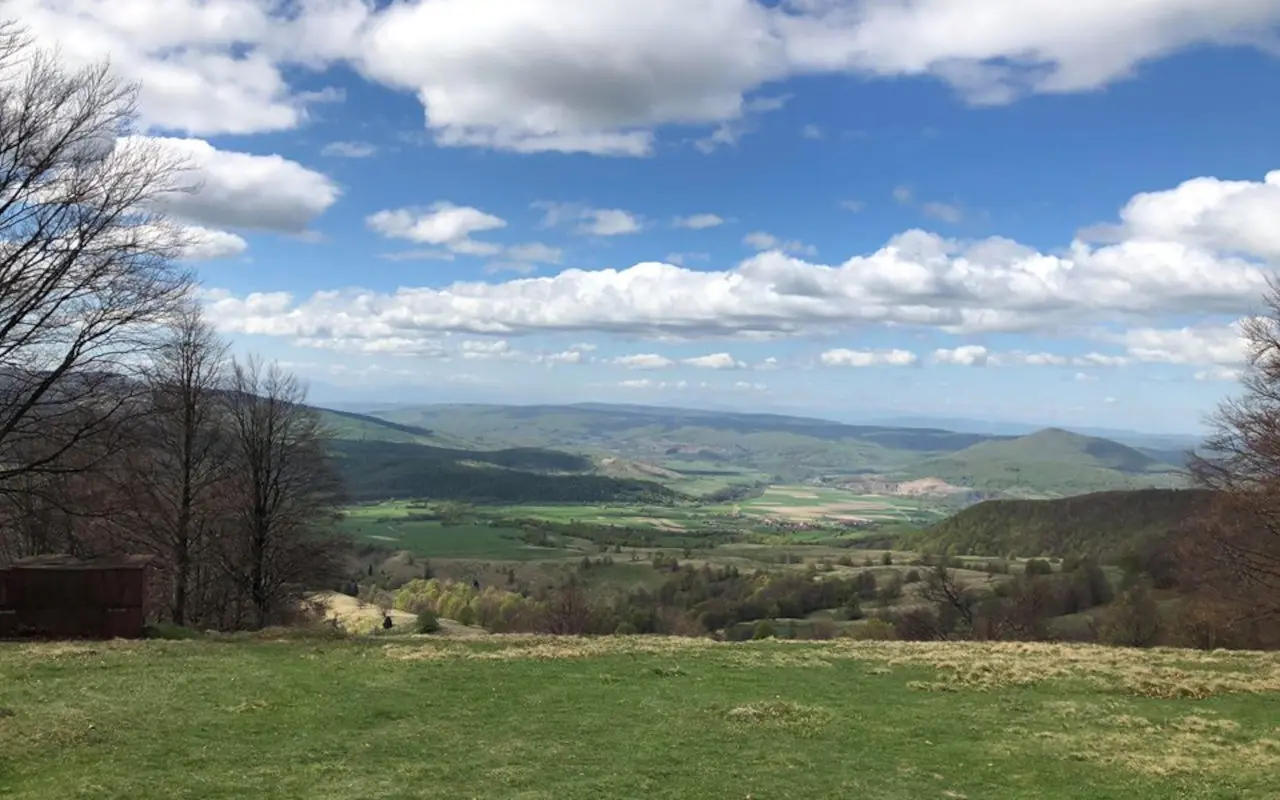 Durante el recorrido también podrás contemplar los paisajes verdes de los senderos.