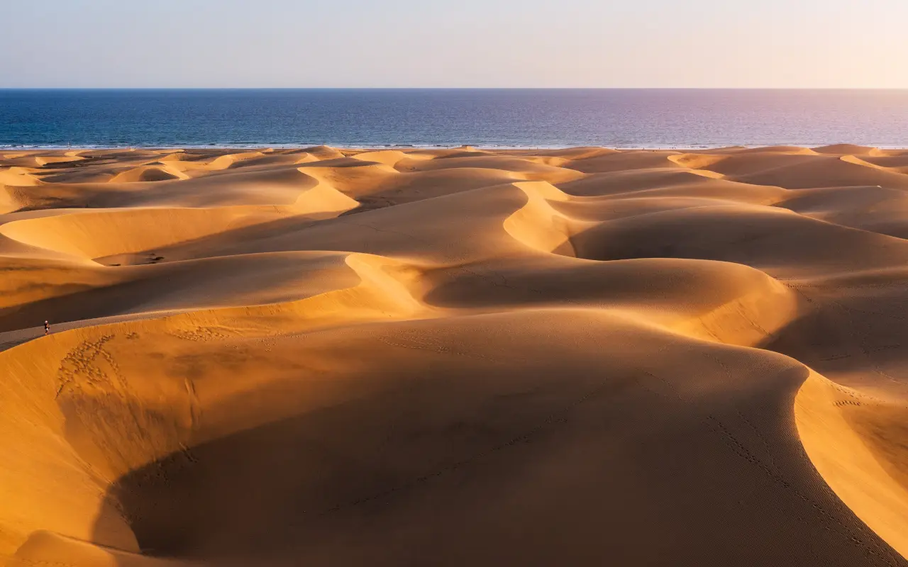The dunes of Maspalomas will put the finishing touch to this tour of contrasts.
