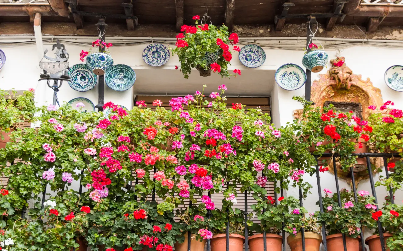  Coloridas macetas adornando los balcones y fachadas encaladas del Albaicín, un rincón lleno de encanto en Granada.