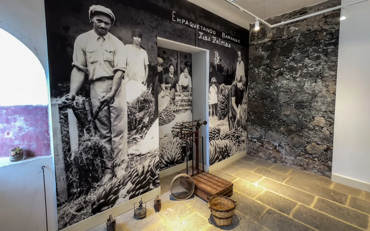 Zona interior del Museo del Plátano en Arucas, Gran Canaria