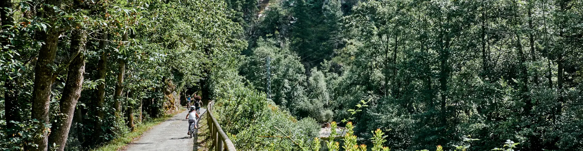 Entorno natural de la senda del Oso en Asturias.