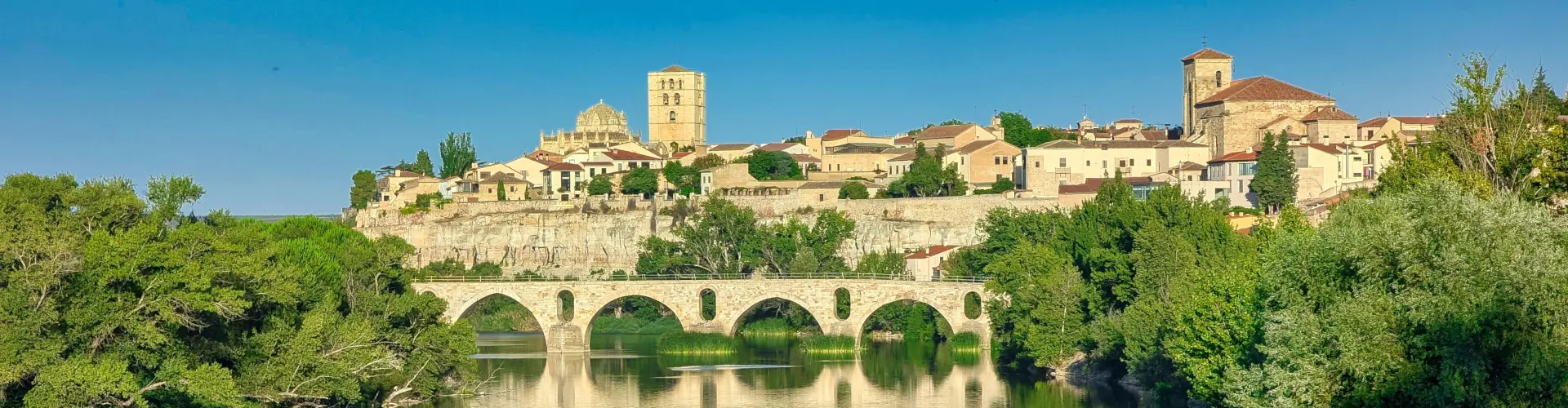 La ciudad de Zamora vista desde la ribera del Duero