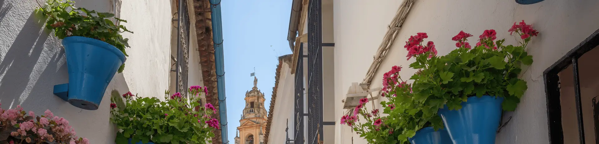 visitas guiadas a los Patios Cordobeses